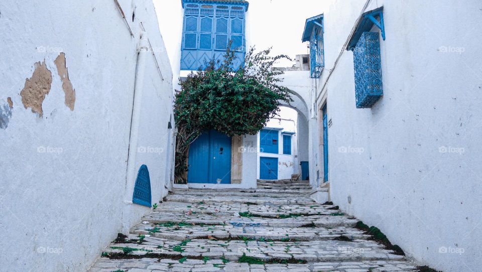 Blue houses