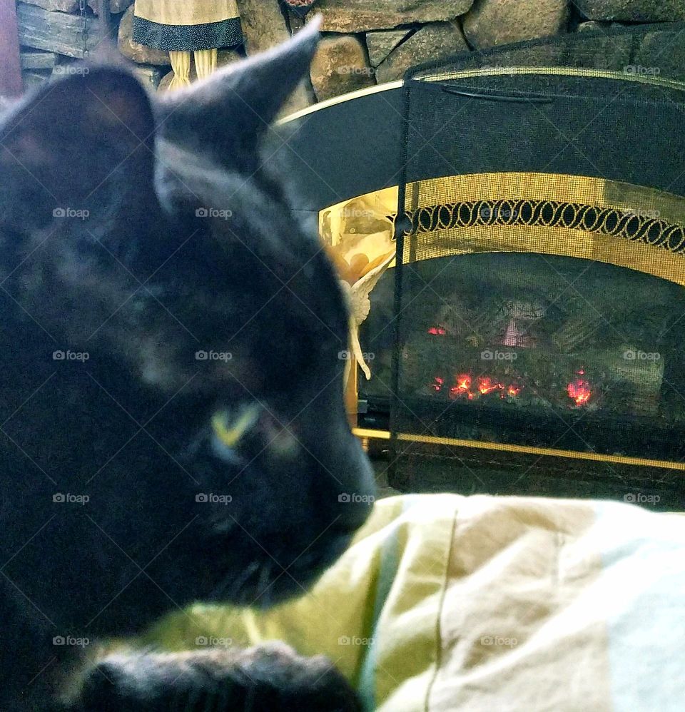 Black cat in front of burning fireplace, profile pic of black kitty.