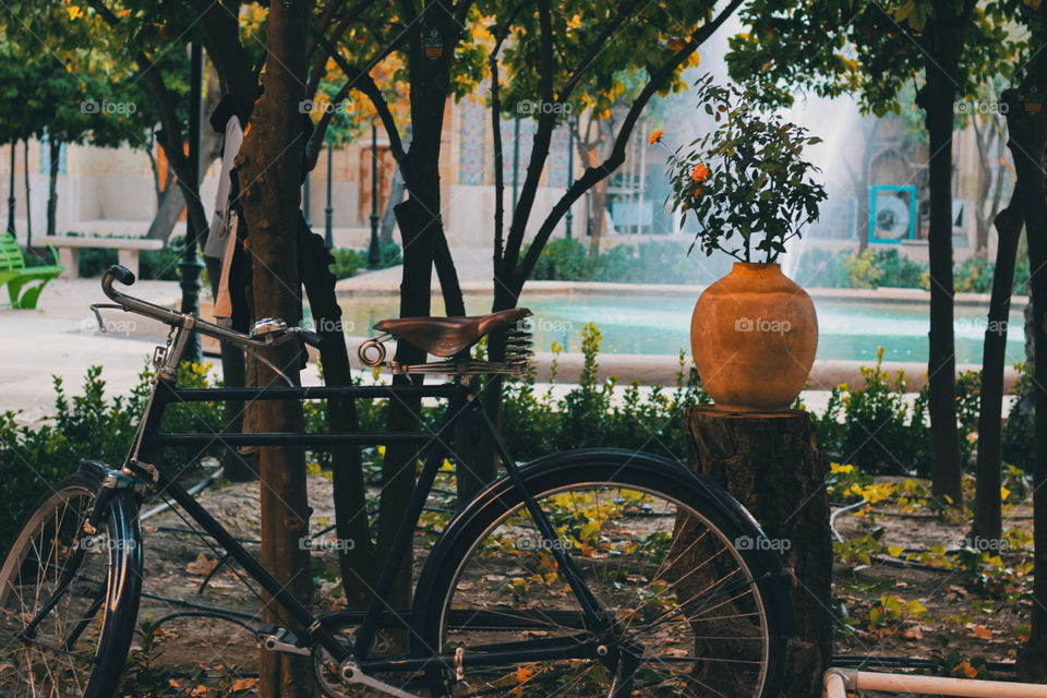 A bike standing by a tree in a yard of an old school. A flower vase and a little pool can be seen in the photo.