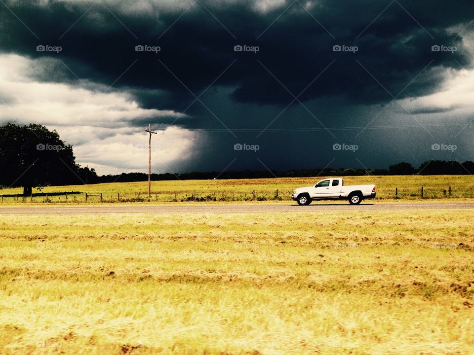 Field, Landscape, Farm, Agriculture, Rural