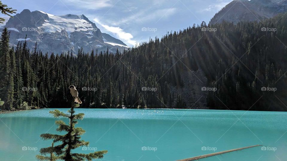 Joffre Lakes in B.C., Canada