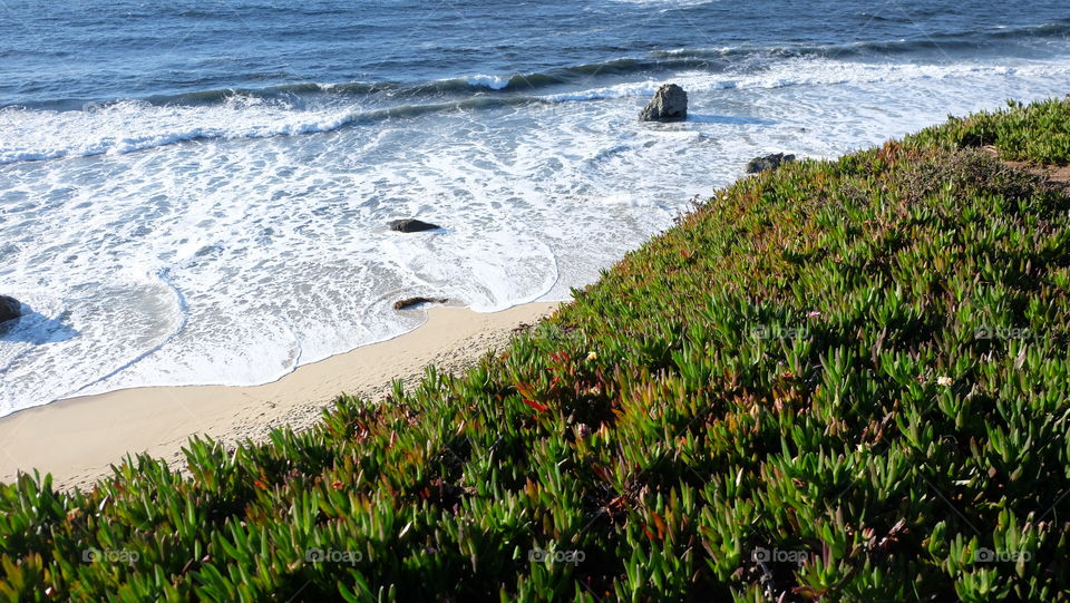 Coastal beauty