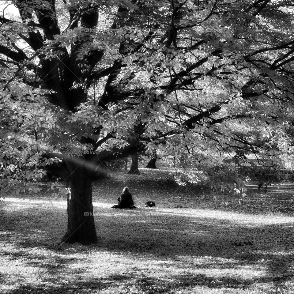 Allone. Autumn black and white