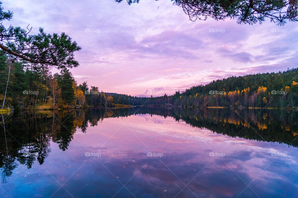 Steinbruvann, Oslo. Norway