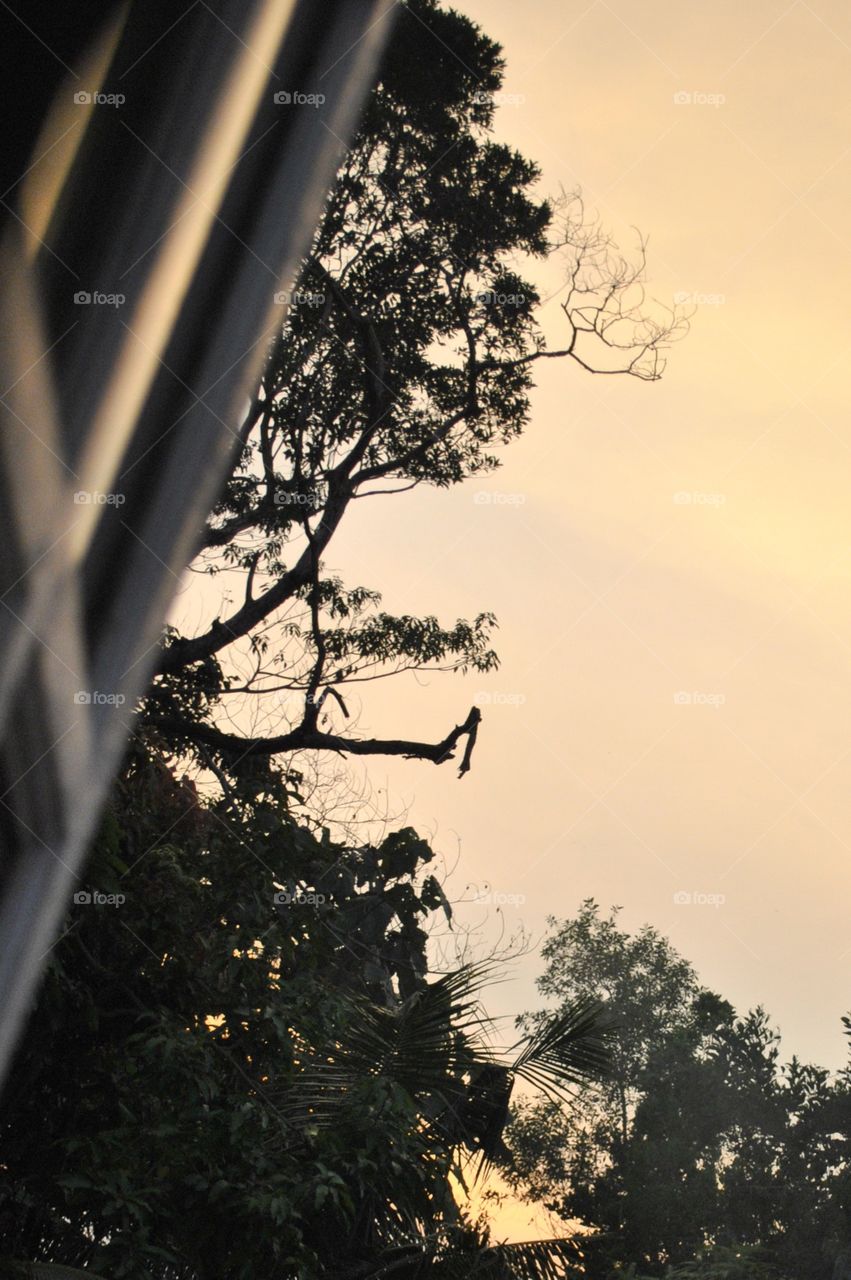 a view from my window