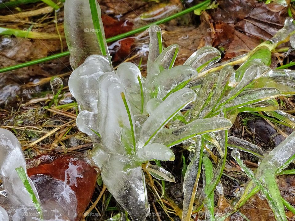 Schwarzwald in Winter