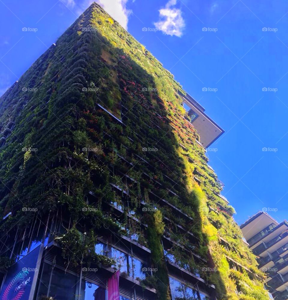 Green color building 