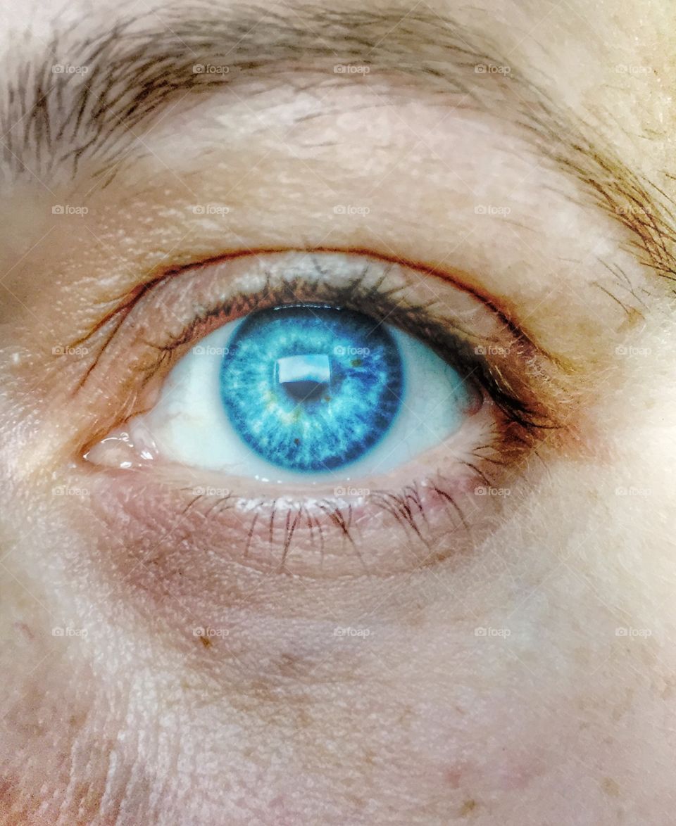 Blue eye iris