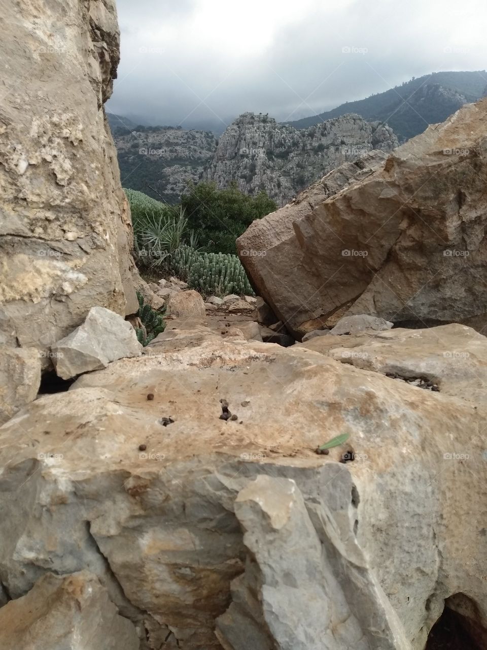 rocks in moudj cliffs