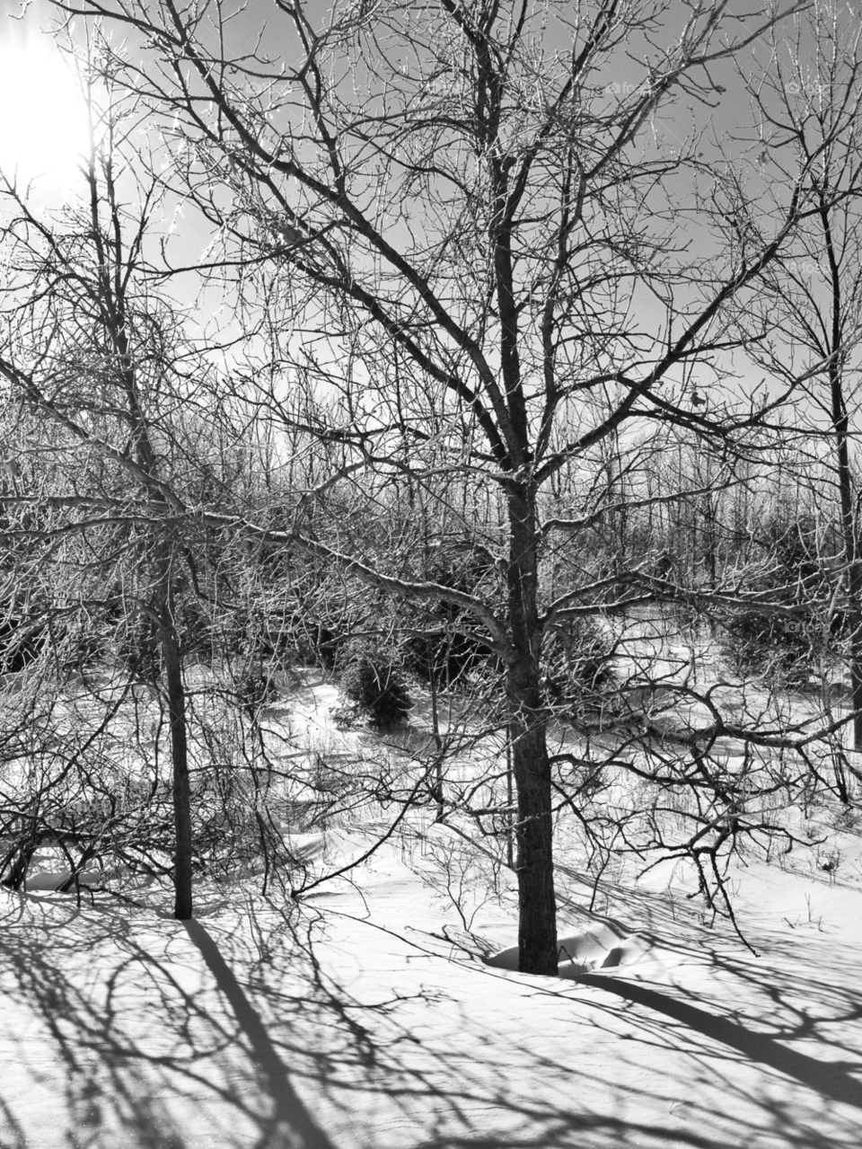 snow winter landscape sky by somebeach