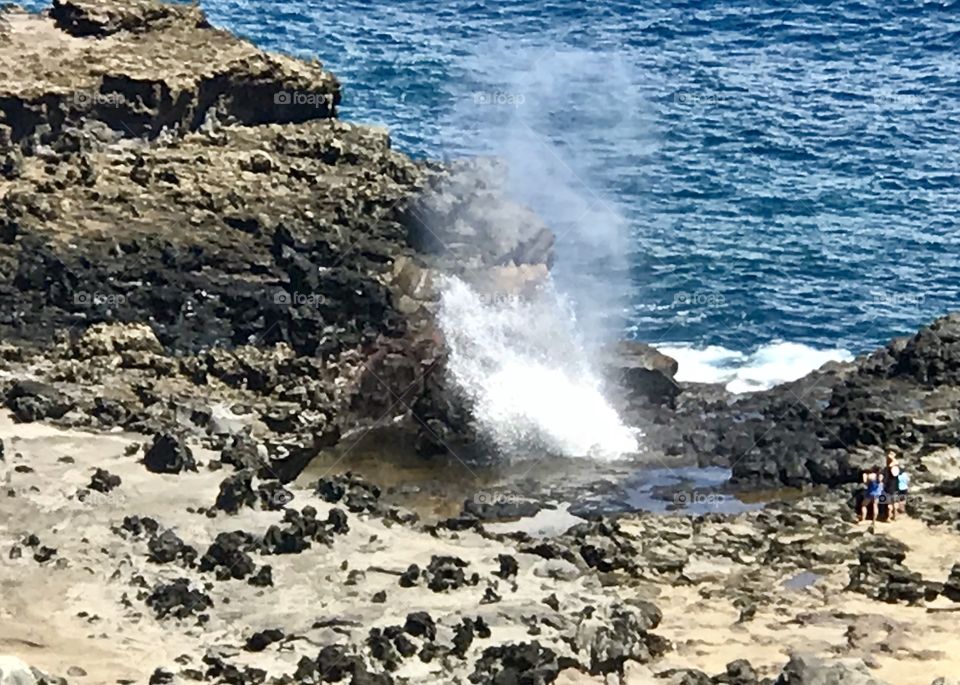 Blowhole 