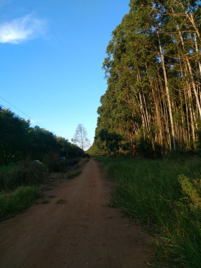 bem vindo foap