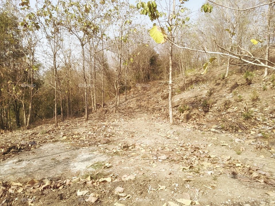 Vacay? Ready, steady, go!