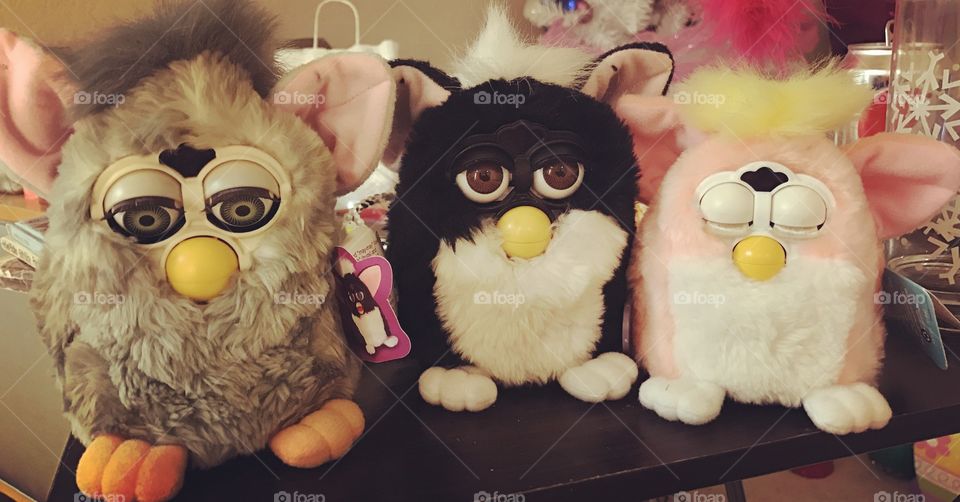 Furby fun
