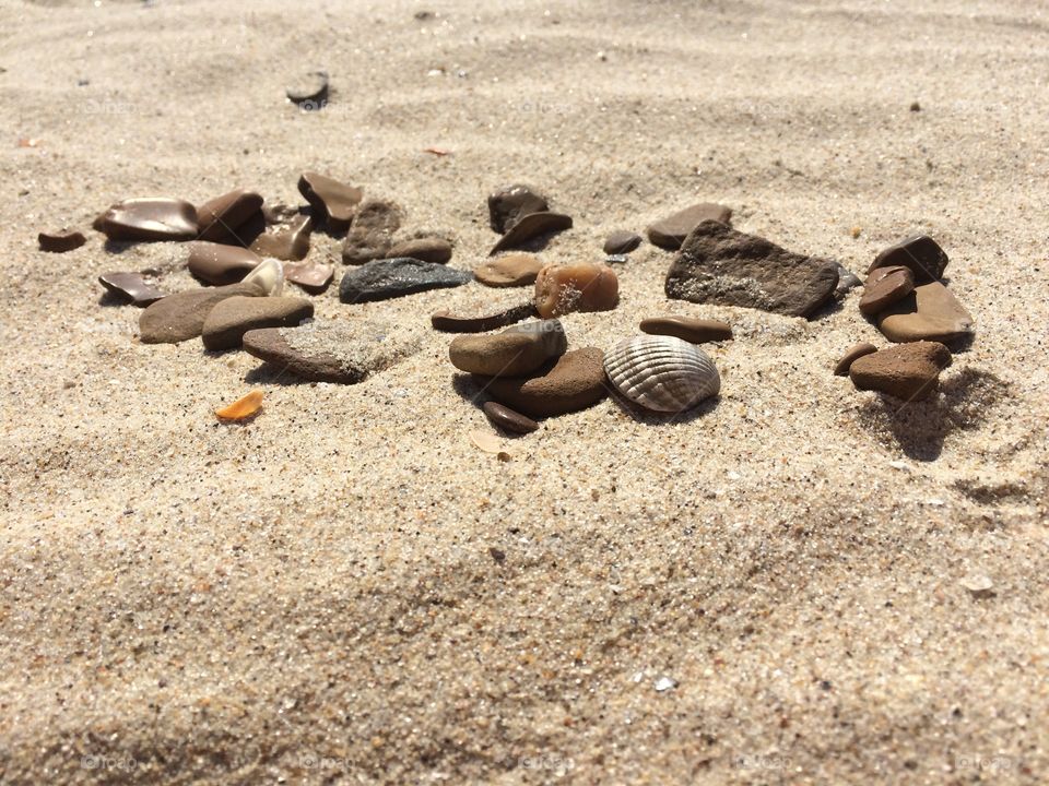 Scallop shells and stones on beach