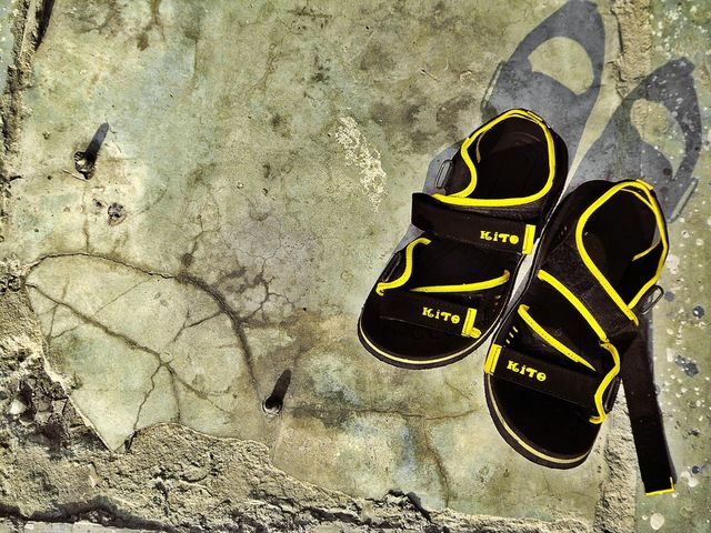 sunny slippers 