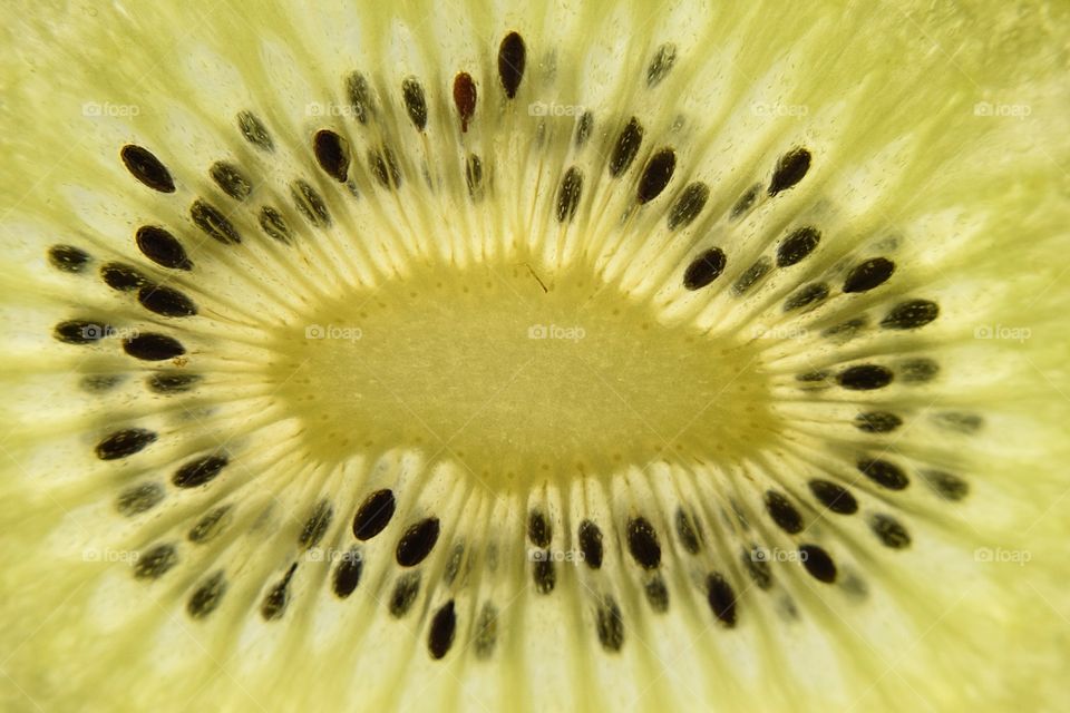 A close-up of kiwi fruit