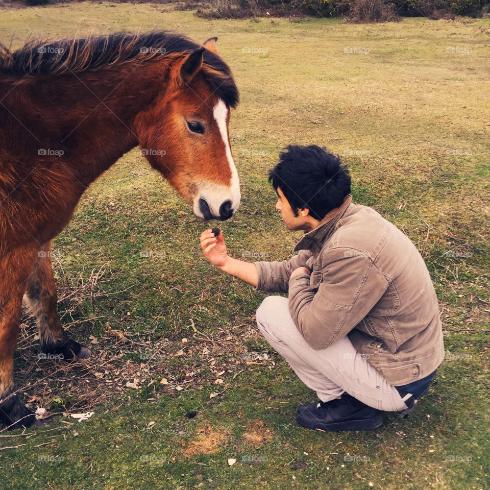 Portrait of man feeding horse