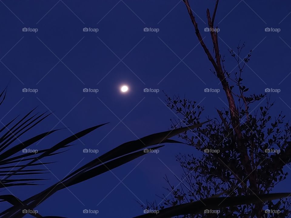 moon light. Beautiful clear sky