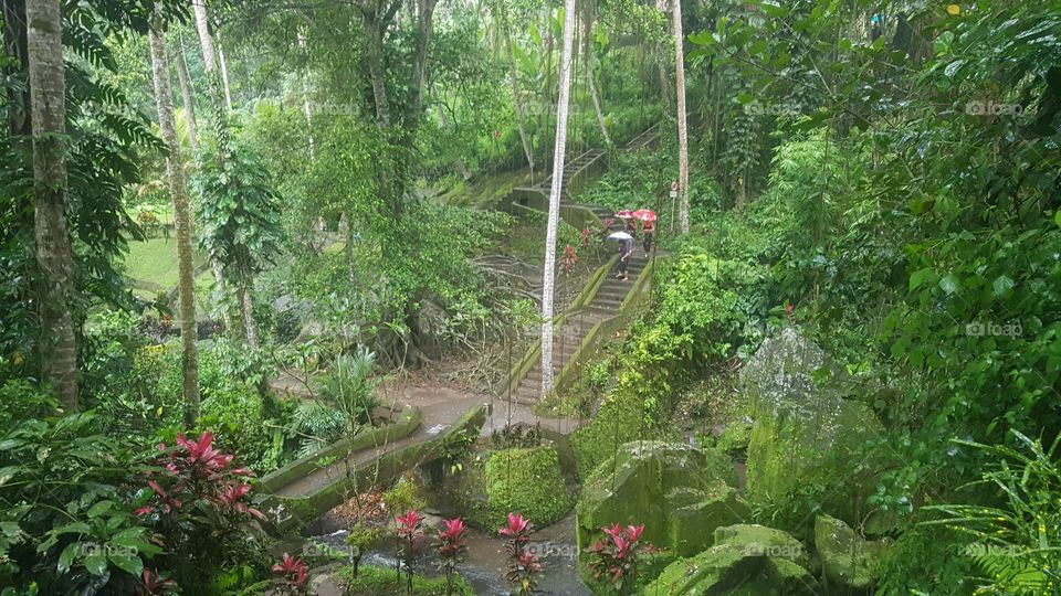 A peaceful rainy scene of people exploring lush jungle environment