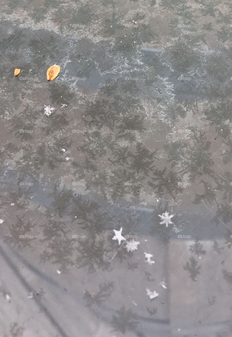 It's snowing and it's cold.❄️