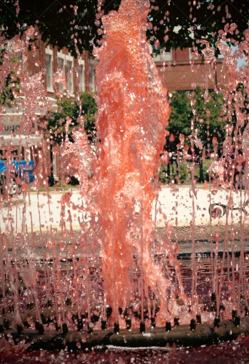 Pink fountain