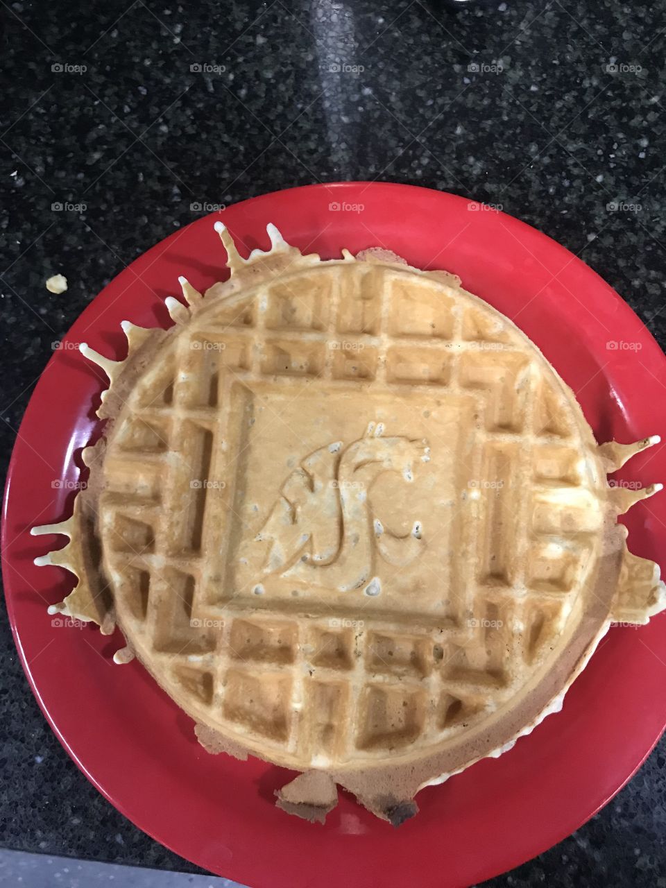 Simple golden brown waffle with the Washington state university symbol cooked into the top
