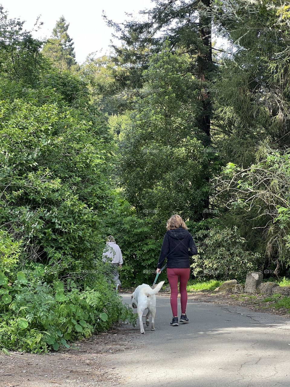 A dog always is a good friend in your life 