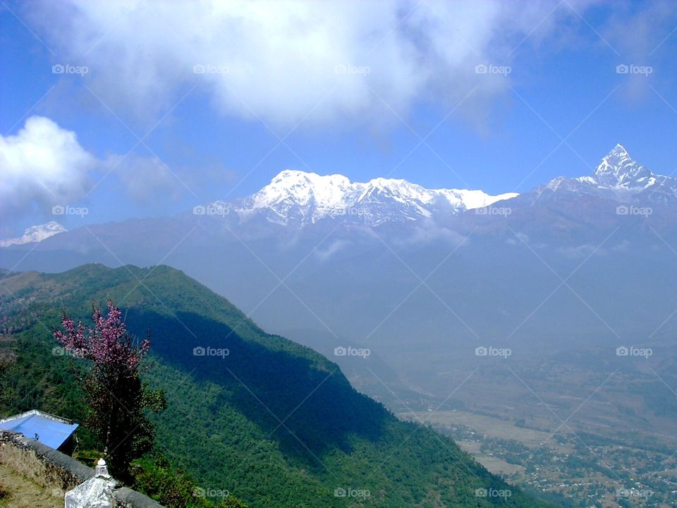 Annapurna 
