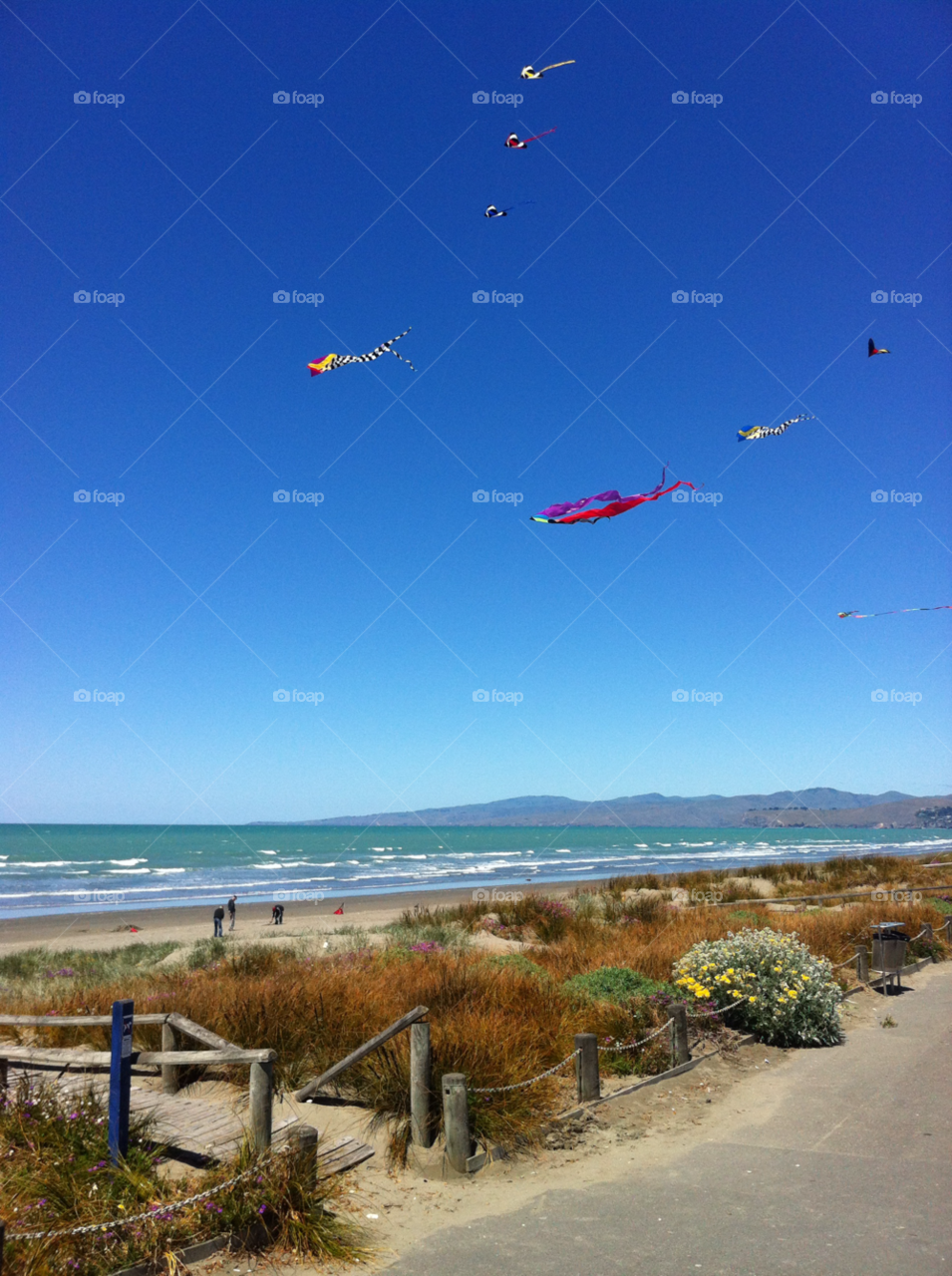 summer sea pacific kites by GMcKinlay