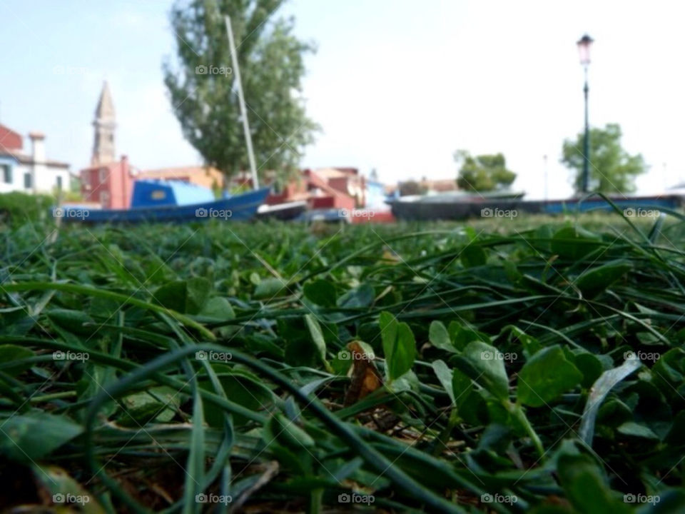 green ground grass boat by llotter