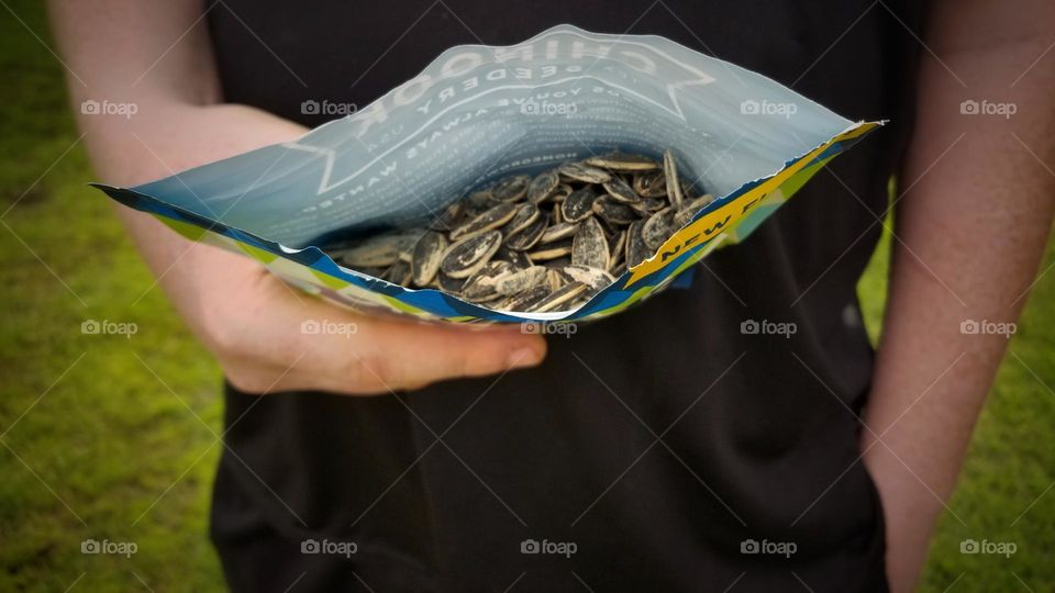 Sunflower Seeds