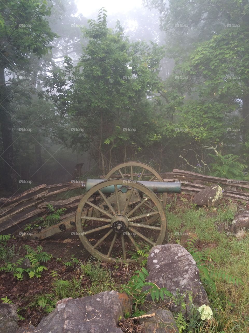 National Battlefield Forest