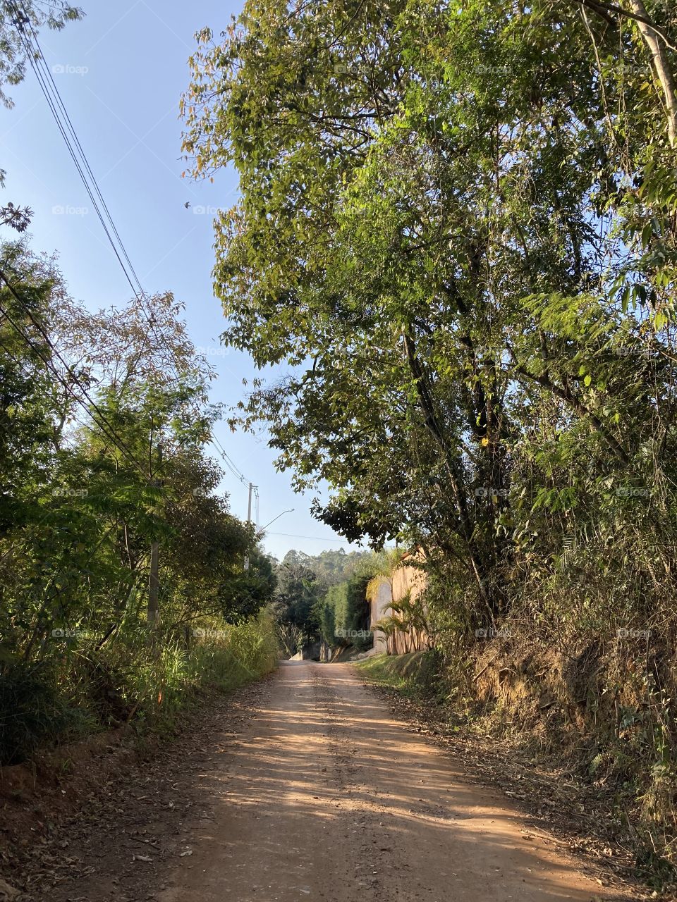 Tarde bucólica na Serra do Japi.

Muito seco por aqui, infelizmente – mas ainda assim, belo!