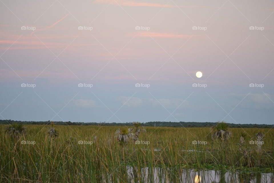 A full moon at dusk over sawgrass and water with the moon’s reflection 