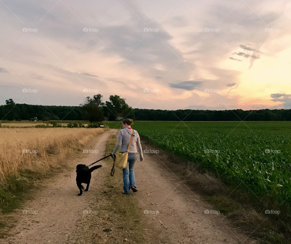 Girl Walking Dog at Farm