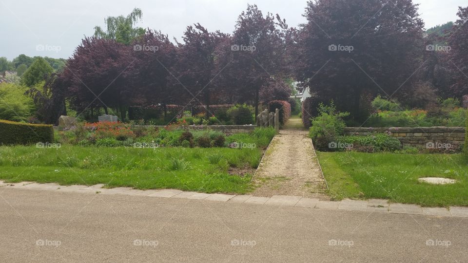 Bunt. Bunte Blätter grün lilia rot