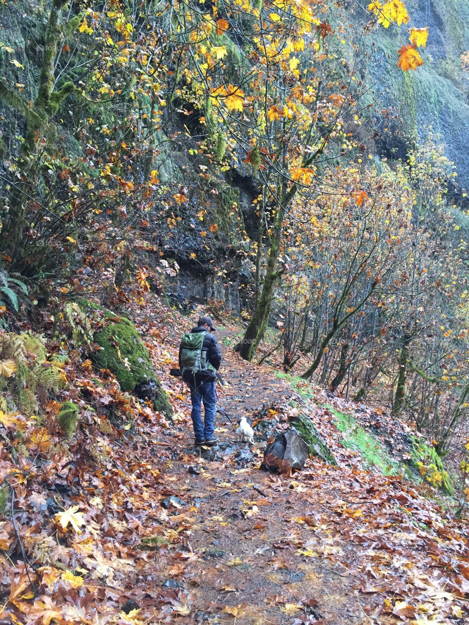 Fall hikes 