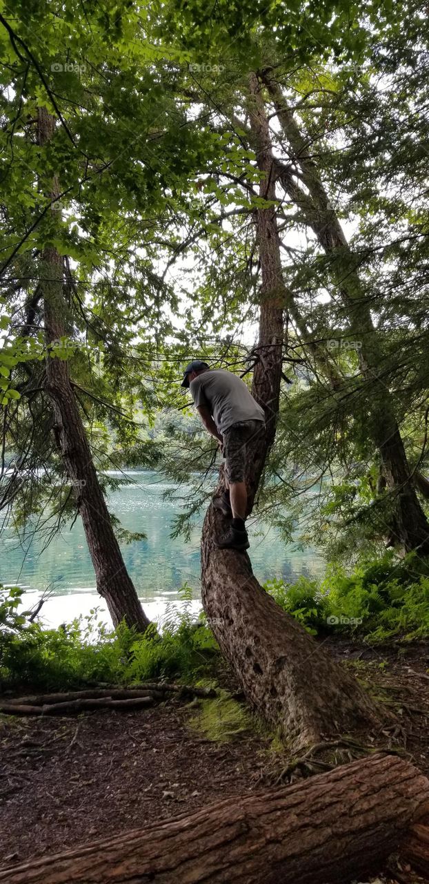 A Man Climbing A Tree By A Lake