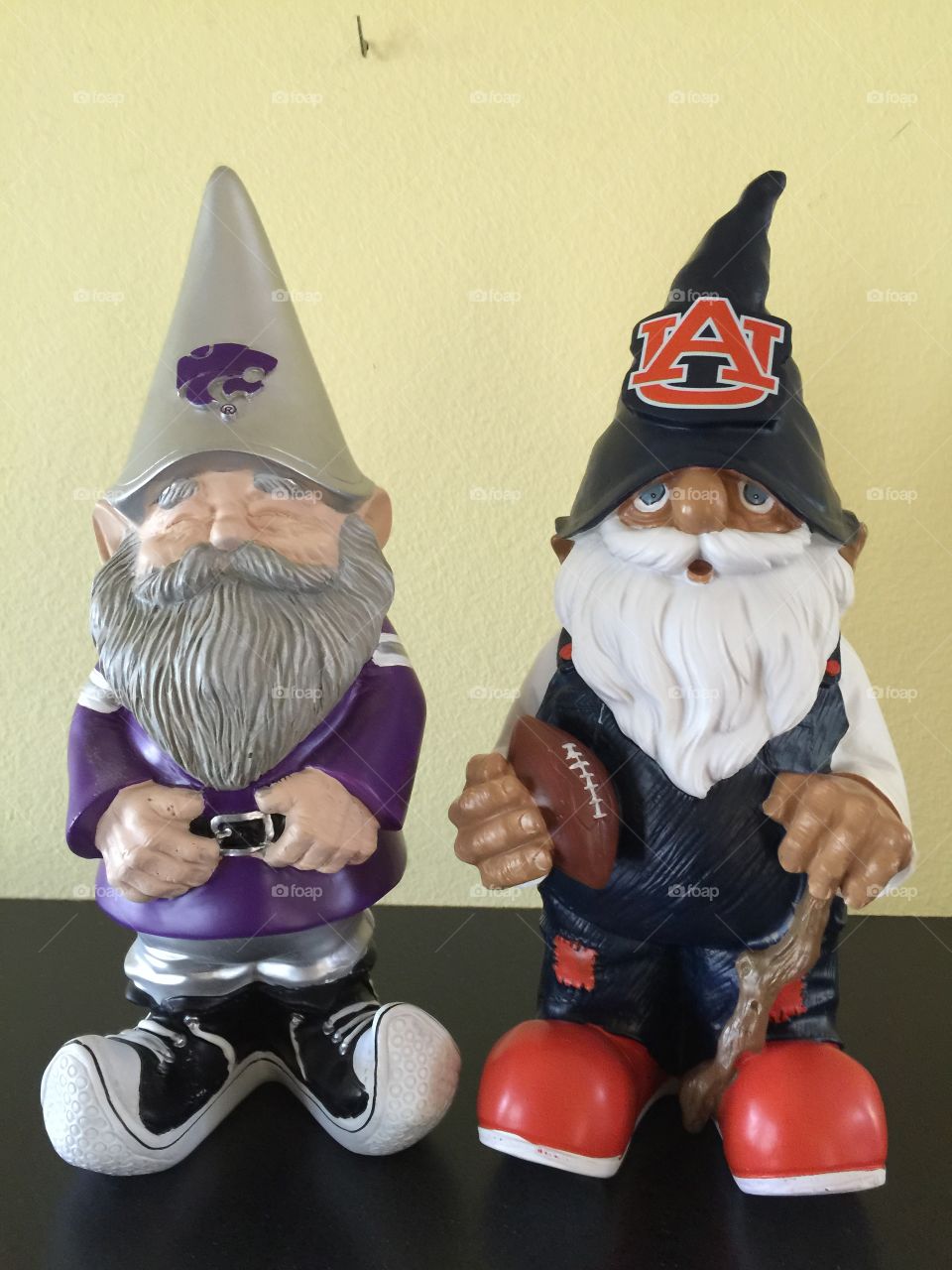 Gnomes from college