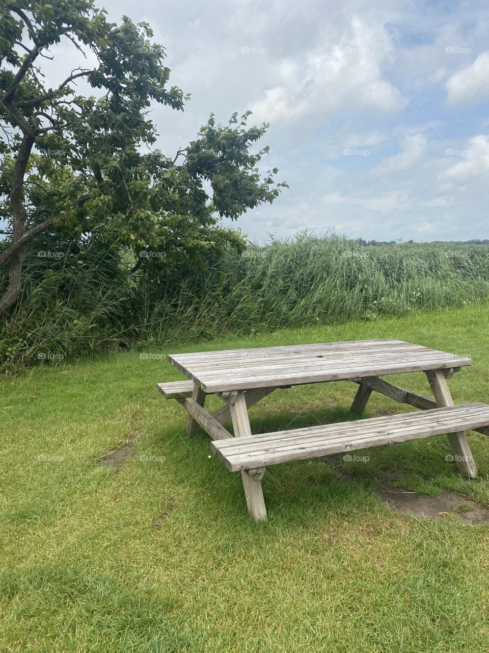 Green Table Nature Environment View Sight Seeing 
