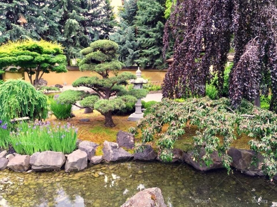 Japanese Garden