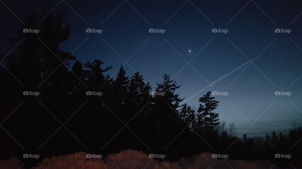 night sky and forest