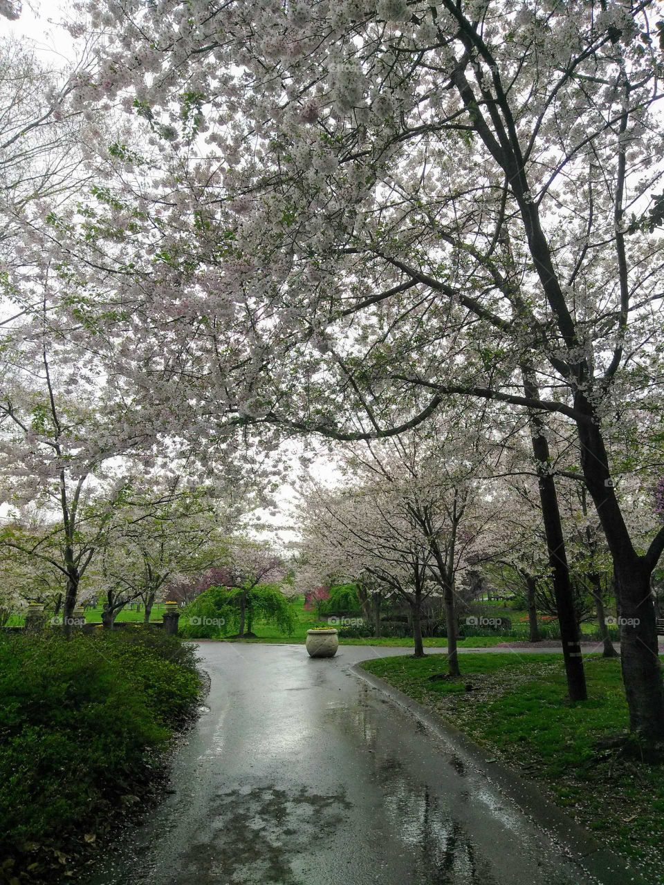 Centennial Park/ Nashville, TN