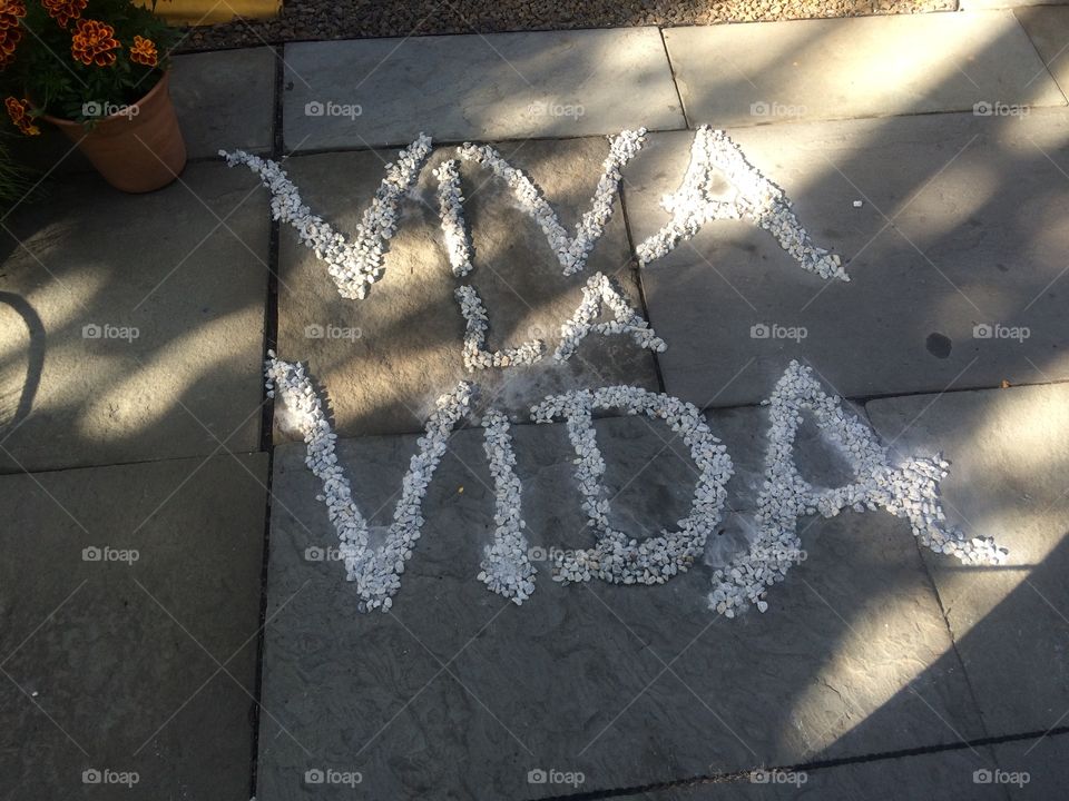 Viva la vida (Tribute to Frieda Kahlo)