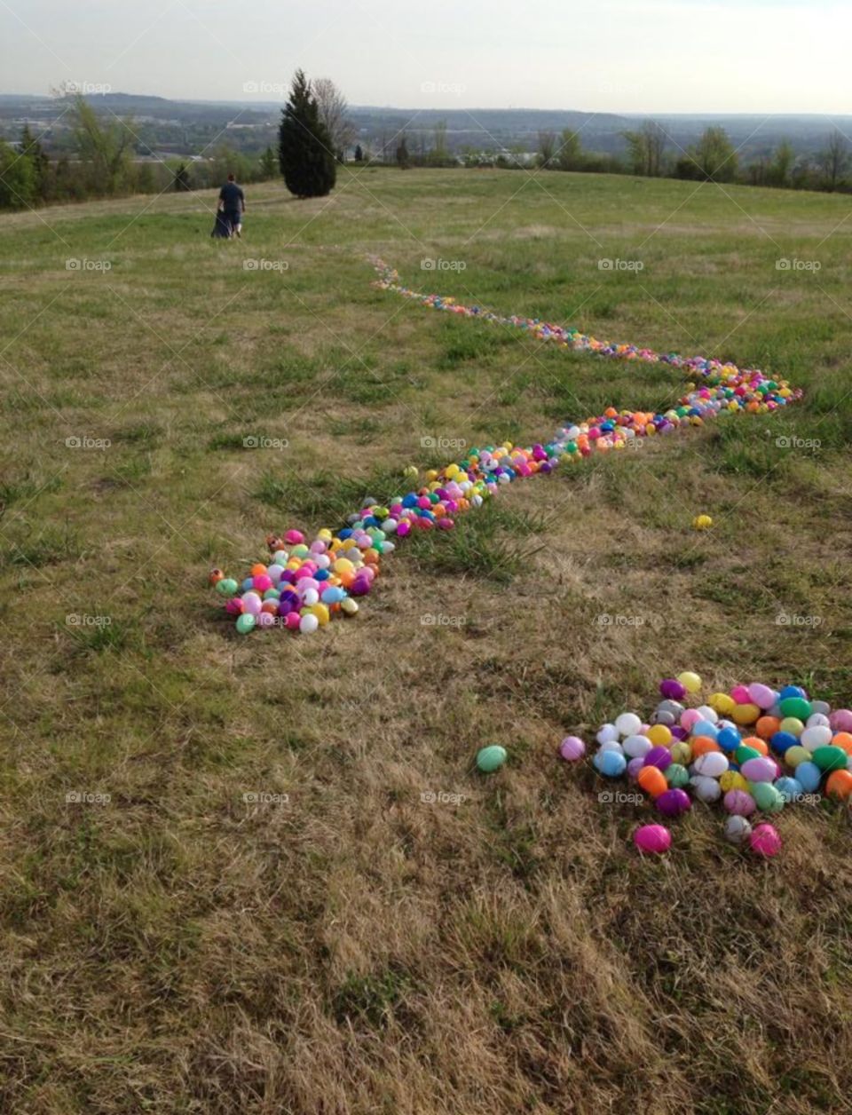 Easter egg. Egg hunt 