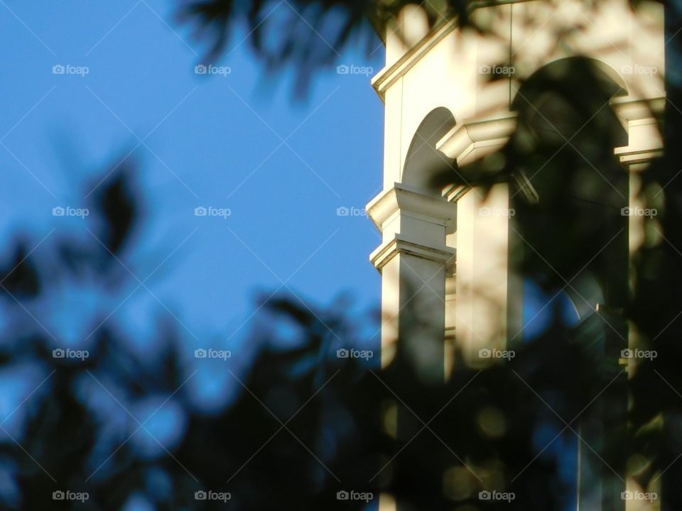 Greek or Roman architecture pillar with dome behind leaves from an out-of-focus tree.