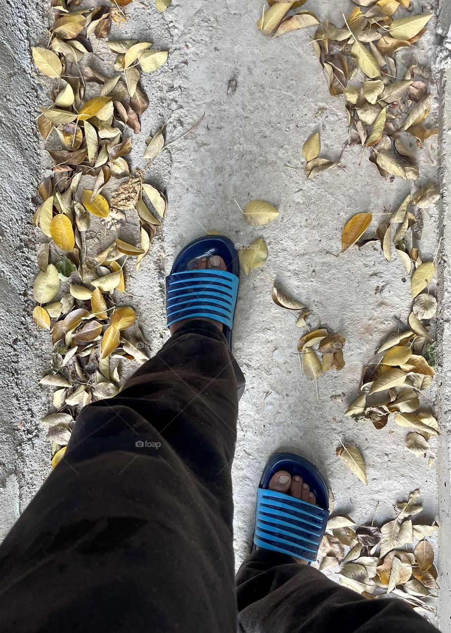 Fall’s way to move your way 