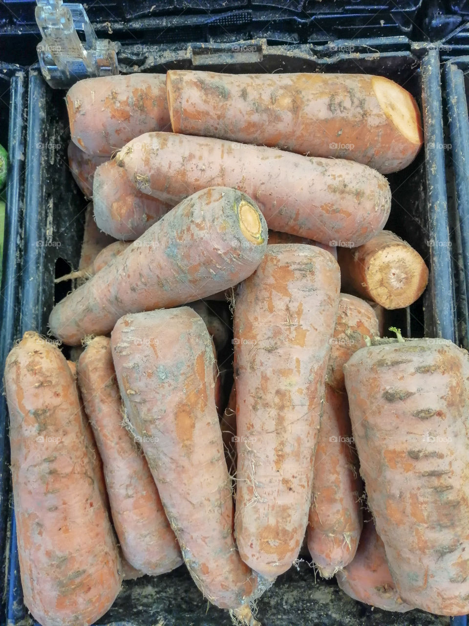 Bulk carrots for sale in a grocery store