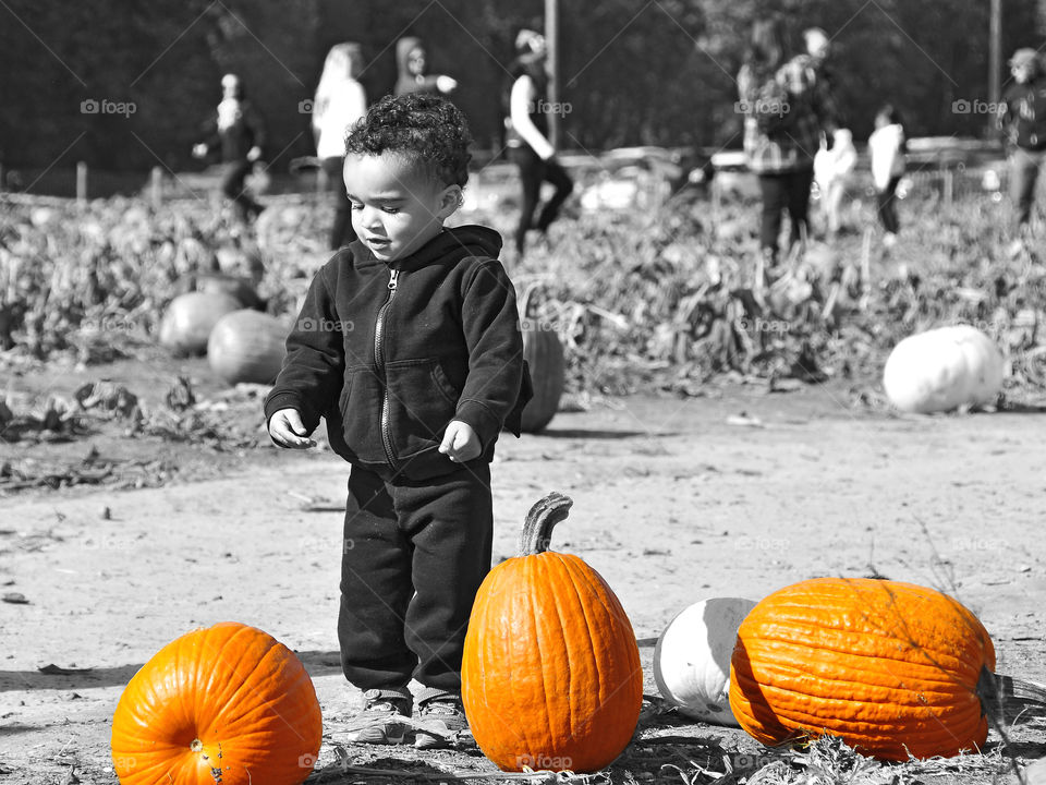 Enjoying Fall. Pumpkin picking at Happy Valley Farm. 

zazzle.com/fleetphoto